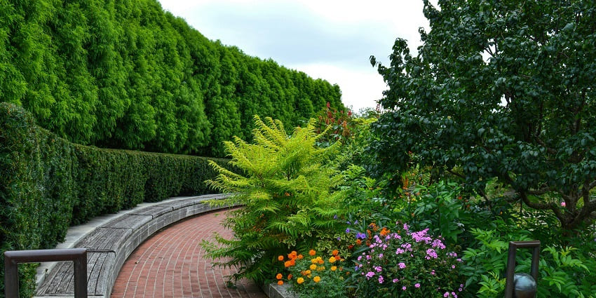 Take a stroll along the diverse and colourful flora of the Botanical Garden in this zoo