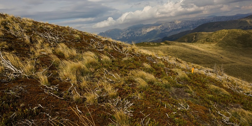 Vast steppe landscape with majestic mountain ranges under a blue sky, reflecting nature's beauty.