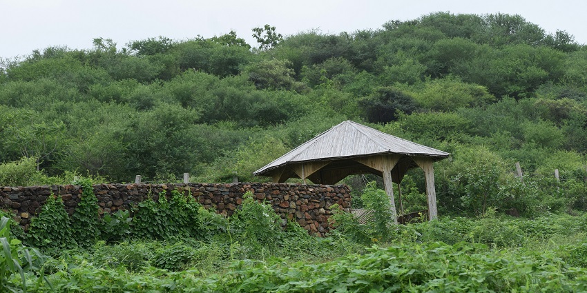Visit Idariyo Gadh to get a glimpse of the detailed historical scenario of the region.