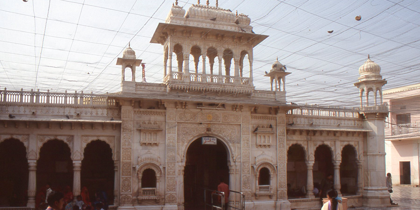 Visiting Karni Mata Temple is the best thing to do in Bikaner, famous for its unique worship of rats.