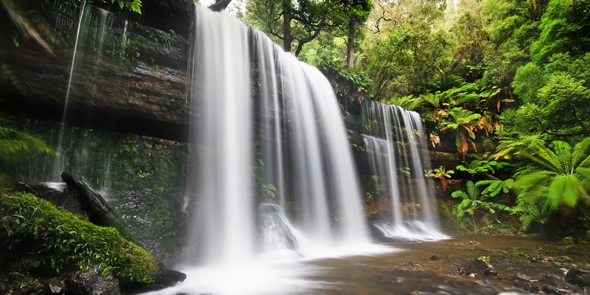 Visit Kesarval Waterfall, one of the best things to do in South Goa, for a natural escape.