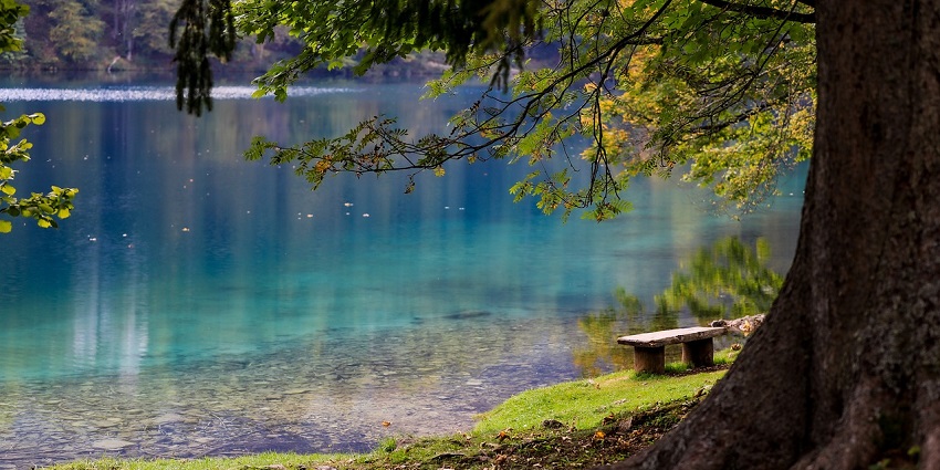 Serene lake in the forest, reminiscent of Surwar Lake, brimming with monsoon waters