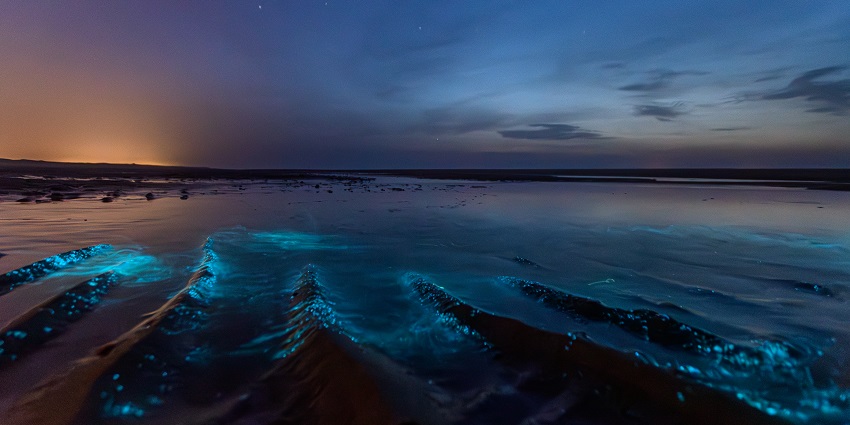 Exploring the bioluminescent beaches is one of the most amazing activities for all.