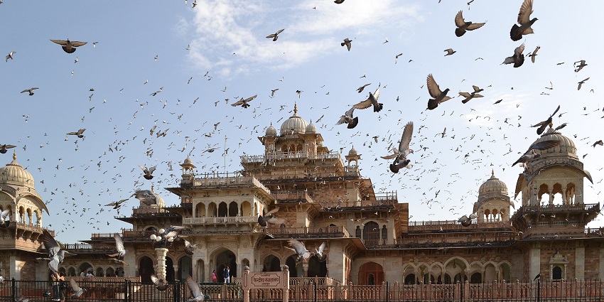 Albert Hall Museum, Jaipur, a historic building showcasing art, artefacts, and heritage collections.