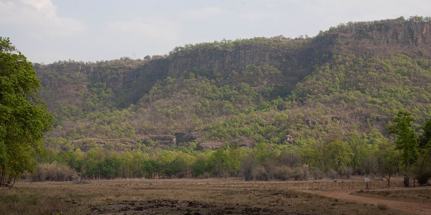 A beautiful view of hilly terrains of Bandhavgarh National Park, and visiting here is the best thing to do in Rewa.