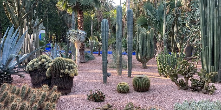 Explore the incredible Cactus Garden Of Panchkula on your trip to Morni Hills.