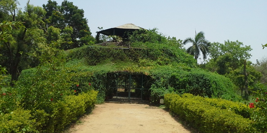 Beautiful snap of the beautiful Botanical garden featuring variety of plants in Gujarat.