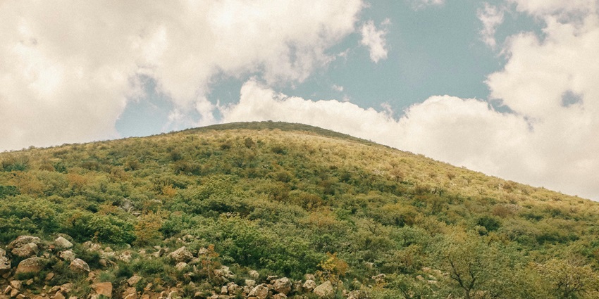 Attractions near Wagholi East Hill offer exploration and relaxation in natural beauty.