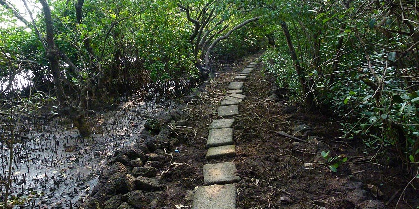 View the variety of bird species at this sanctuary that is spread across 440 acres.
