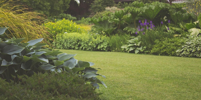 Strolling through the lush Baradari Garden is one of the best things to do in Patiala.