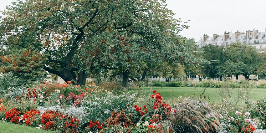 Wandering through the botanical gardens is one of the top things to do in Amarkantak.