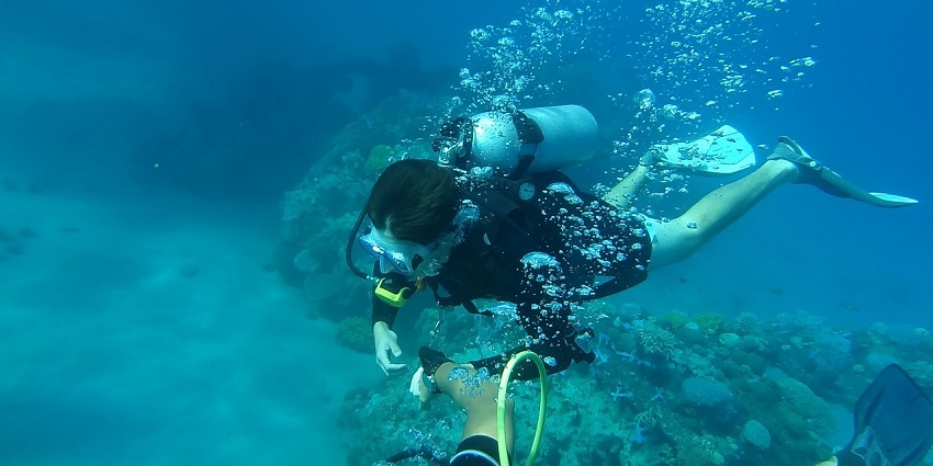 The Sea Adventure is one of the best sites to enjoy and learn water sports in Goa.