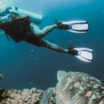 A breathtaking view of a person enjoying scuba diving underwater while taking photographs.