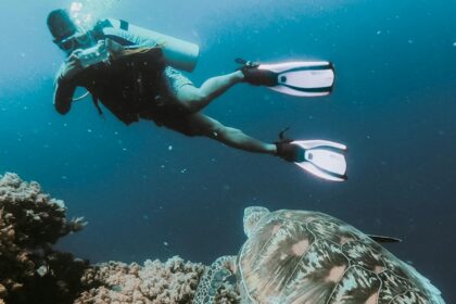 A breathtaking view of a person enjoying scuba diving underwater while taking photographs.