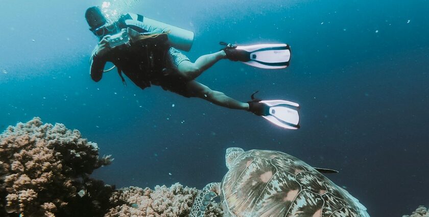 A breathtaking view of a person enjoying scuba diving underwater while taking photographs.