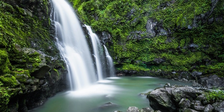 Waterfall: Gushing waterfall cascading into a pool surrounded by lush greenery.