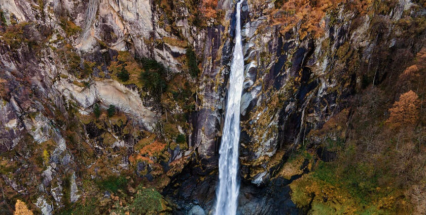 Scenic view of the waterfalls in Madhya Pradesh, showcasing its grandeur and beauty.