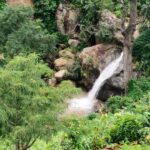 A beautiful waterfall situated amidst a lush green forest, slowly cascading down