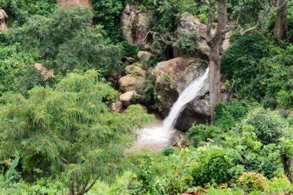 A beautiful waterfall situated amidst a lush green forest, slowly cascading down