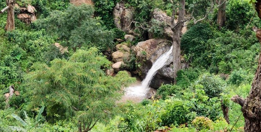 A beautiful waterfall situated amidst a lush green forest, slowly cascading down