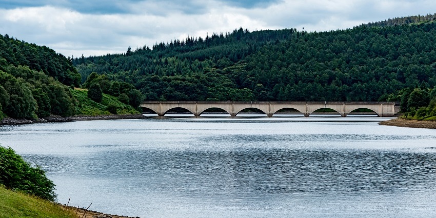 Serene view of Ladybower Reservoir, surrounded by lush greenery and gentle hills.