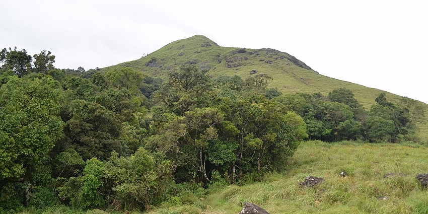 Wayanad is one of the most popular hill stations to try bungee jumping in Kerala.