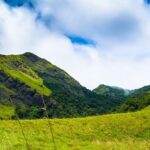 A picture of a lush green area with mountains and tea gardens