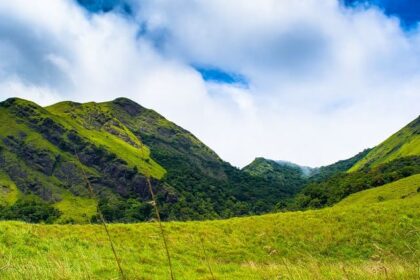 A picture of a lush green area with mountains and tea gardens