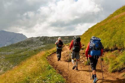 Go trekking in Wayanad, Kerala to explore the forested areas of the Western Ghats