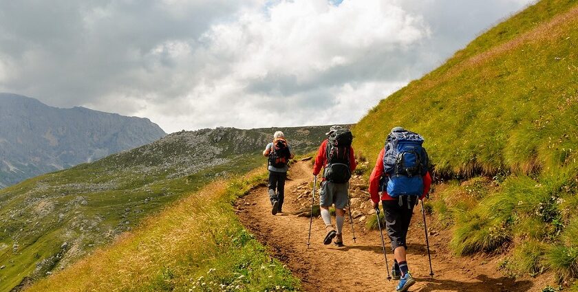 Go trekking in Wayanad, Kerala to explore the forested areas of the Western Ghats