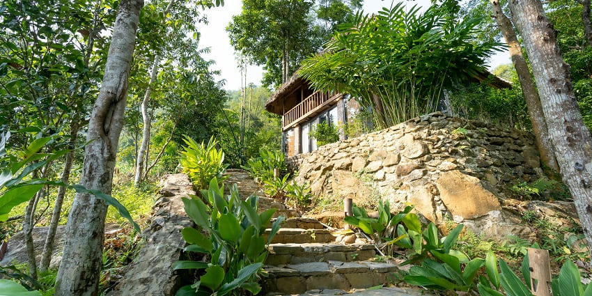 Mizoram offers a range of delectable cuisine options for all types of preferences.