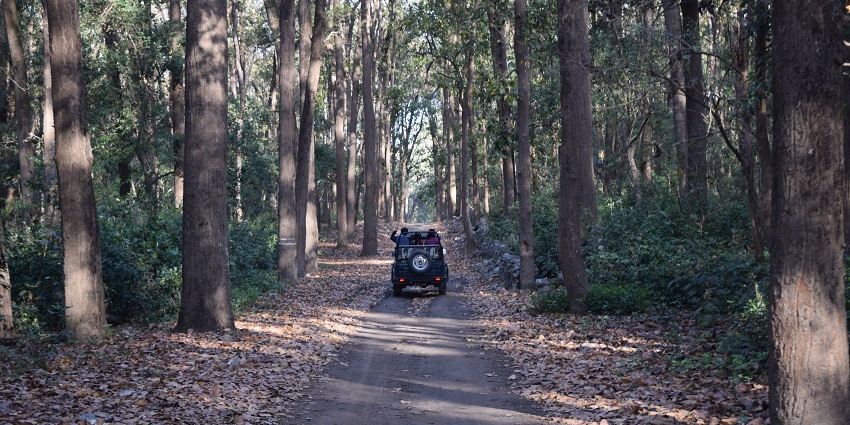 While on this jeep safari near the Statue of Unity, you can look for accommodations nearby