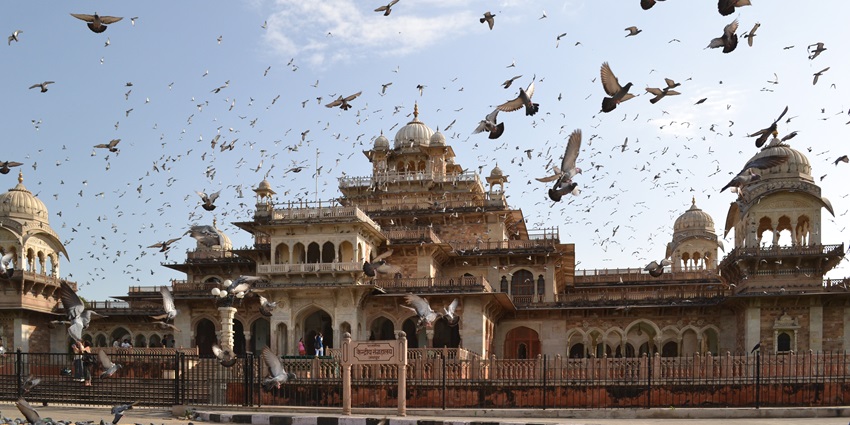 Albert Hall Museum in Jaipur, showcasing intricate architecture and vibrant cultural exhibits.