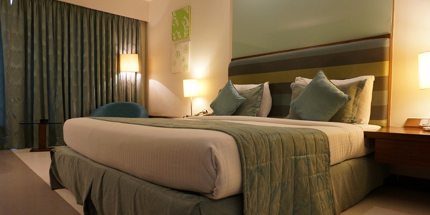 Stay at a comfortable guesthouse or hotel near the Tal Chhapar Wildlife Sanctuary
