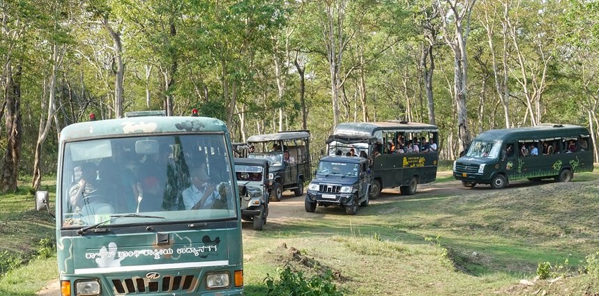 People enjoying jeep safari while exploring the diverse flora and fauna of the region.
