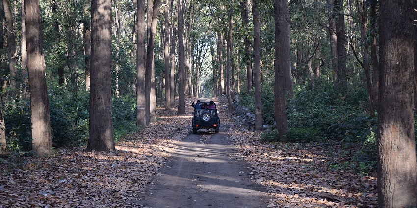 Tourists on a Jeep safari observing wildlife in Balimela Wildlife Sanctuary