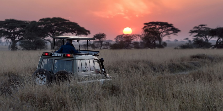 Wildlife safari is one of the best things to do in Kuldiha Wildlife Sanctuary for all.