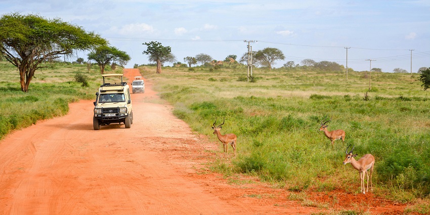 Embark on a jeep safari which is one of the thrilling activities to do in the sanctuary.