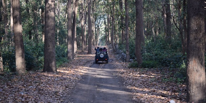 A family enjoying a guided jungle safari in Lakhari Valley Wildlife Sanctuary