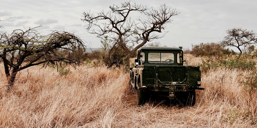 Enjoy an adventurous wildlife safari on your visit to the Rollapadu Wildlife Sanctuary.