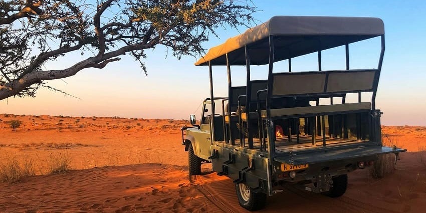 Wildlife safari is one of the best activities to experience for adventure lovers