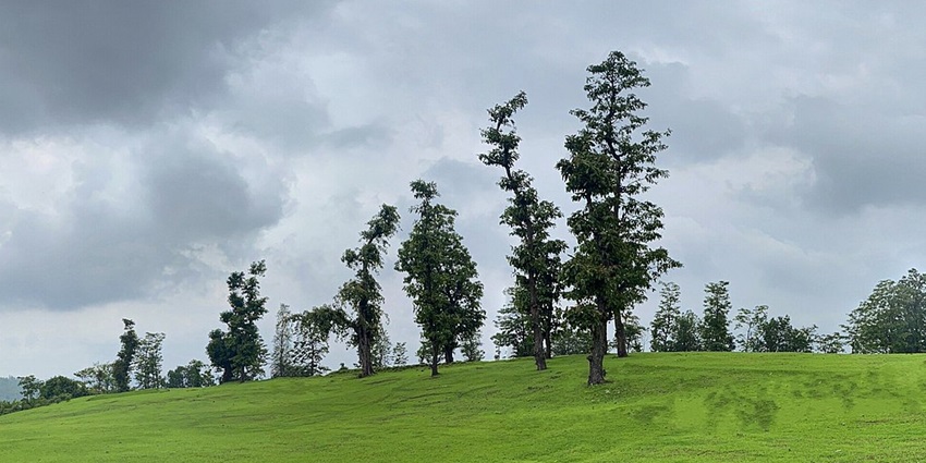 Picturesque view of Wilson Hill with lush green field under blue sky and trees around