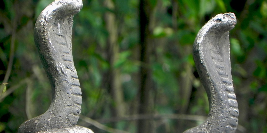 Worship the snake idols here at this temple that are brought from the abandoned groves in Kerala
