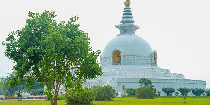 Wide angle view of the World Peace pagoda , pure white building standing amidst lush greenery