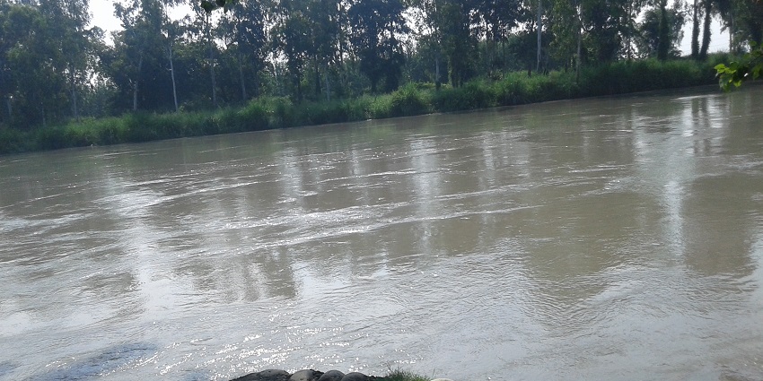 View of the yamuna river meandering through lush landscapes of Yamunanagar