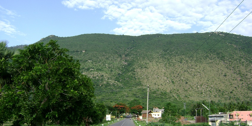 Yelagiri is a hamlet located in Tamil Nadu that offers a break from the daily cycle of life.