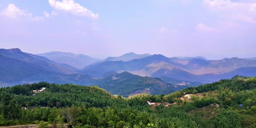 Yercaud is a scenic area featuring thick trees and vistas that provide stunning views.