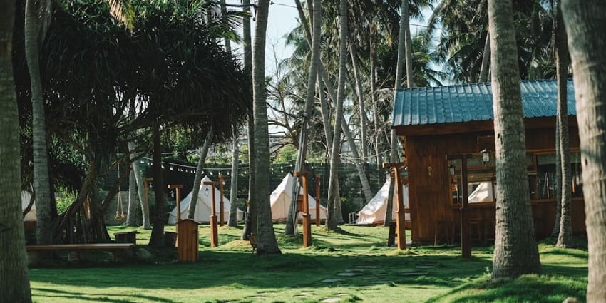 A grassy area with trees and picturesque landscape of the Yoga village