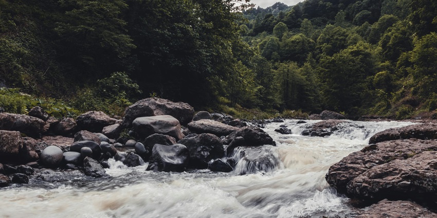 Image of a river waterfall in the Middle of green trees flowing through the rocks