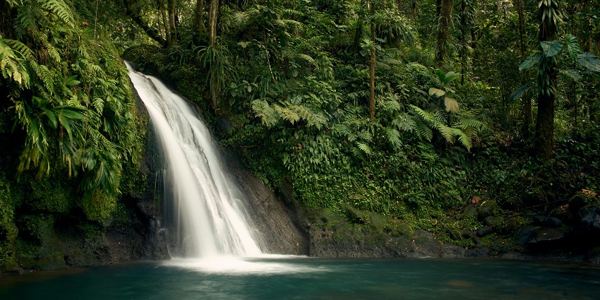Ziro Falls is one of the breathtaking waterfalls in Arunachal Pradesh for travellers.